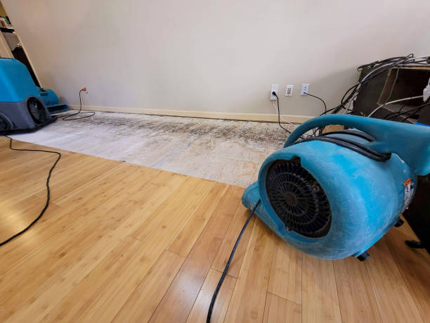 Professional Flood Damage Cleanup technician working in Campbellsburg, KY